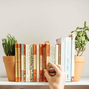 Suck UK Bloempot Boekensteun beschikbaar voor biedingen