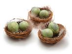 Nestjes met 2 kwarteleitjes en veertjes - matcha groen doos, Ophalen of Verzenden, Nieuw