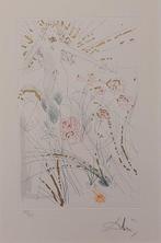 Salvador Dali (1904-1989) - Der Geliebte weidet zwischen den