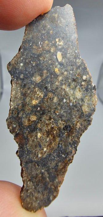 Meteoriet Howardite HED, Bechar 008. Geen minimumprijs. -, Verzamelen, Mineralen en Fossielen