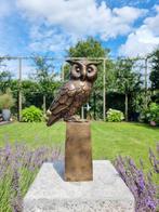 sculptuur, Wise Owl - 35 cm - Brons, Antiek en Kunst