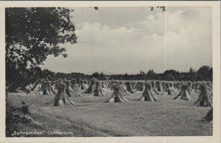 OOTMARSUM - Springendaal, Verzamelen, Ansichtkaarten | Nederland, Verzenden