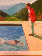 David Hockney (after) - Pool with two figures