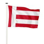 Vlag Eindhoven 100x150cm (voor gevelstok), Nieuw