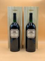 2022 El Énemigo Malbec - Mendoza - 2 Magnums (1.5L), Nieuw