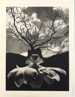 Jerry Uelsmann - Untitled, 1968