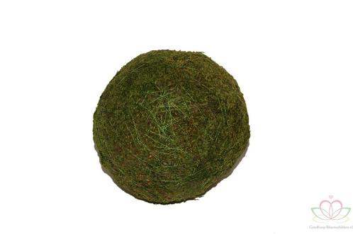 Bol Mos Bal Mos Platmos 4 cm. Zak 20 stuks mosbal bol mos, Huis en Inrichting, Woonaccessoires | Kunstplanten en Kunstbloemen