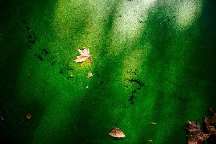 Viet Ha Tran - The infinite silence, Antiek en Kunst, Kunst | Designobjecten