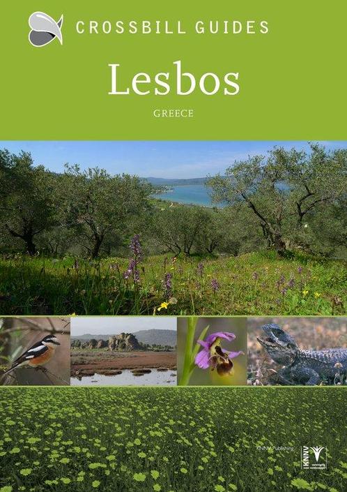 9789491648083 LESBOS, GREECE Alex Tabak, Boeken, Studieboeken en Cursussen, Nieuw, Verzenden