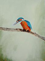 Matthieu van Riel - IJsvogel