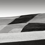 Rosario Civello - Fields #8