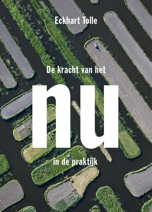 De kracht van het nu in de praktijk 9789020210224, Boeken, Esoterie en Spiritualiteit, Zo goed als nieuw, Verzenden