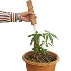 Mosstok kokosstok planten totems set 50 + 30 cm opbinden van, Ophalen of Verzenden, Nieuw