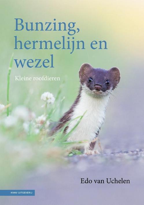 Bunzing, hermelijn en wezel 9789050118200 Edo van Uchelen, Boeken, Hobby en Vrije tijd, Zo goed als nieuw, Verzenden