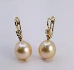 Oorbellen - 14 karaat Geel goud - 0.07ct. tw. - 11x12mm, Sieraden, Tassen en Uiterlijk, Nieuw
