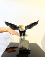 collectie XXL - Ama de Pyriet met een Adelaar van de, Verzamelen, Mineralen en Fossielen