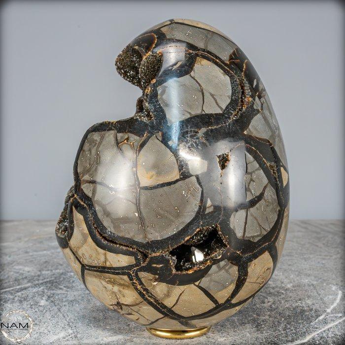 Zeer decoratief septarium Ei, met calcietkristallen- 3541.11, Verzamelen, Mineralen en Fossielen