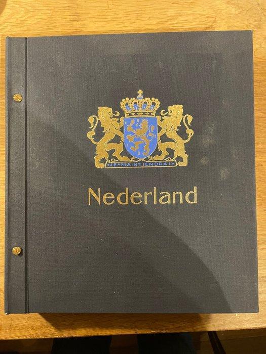 Nederland 1869/1989 - Fraaie verzameling in DAVO album, Postzegels en Munten, Postzegels | Nederland