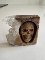 Indrukwekkende Memento Mori Bruine Geode uitgeholde plaat, Verzamelen, Dierenverzamelingen, Nieuw
