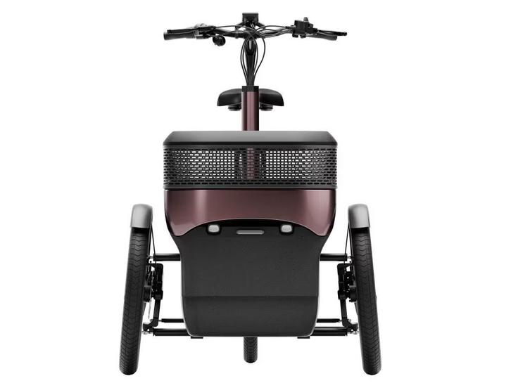 Van Raam Thuja driewieler met bak - op voorraad, Fietsen en Brommers, Elektrische fietsen, 50 km per accu of meer, Nieuw, 47 tot 51 cm