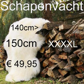 Schapenvacht XXXXL DE ALLER GROOTSTE schapenvel € 49,95 beschikbaar voor biedingen