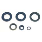 Athena Blok Olie keerring set P400270400051, Motoren, Verzenden, Nieuw