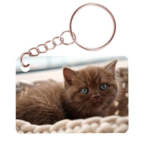 Sleutelhanger 6x4cm - Britse Langhaar Kat Bruin met Blauwe o, Verzamelen, Sleutelhangers, Nieuw, Ophalen of Verzenden
