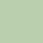 Histor Muurverf - Pastel groen - 10 liter (MUURVERF LATEX), Doe-het-zelf en Verbouw, Verf, Beits en Lak, Nieuw, Ophalen of Verzenden