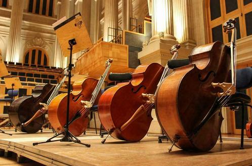 Klassiek orkest: Meerder leuke opties!, Diensten en Vakmensen, Muzikanten, Artiesten en Dj's, Orkest