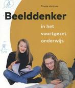 9789088507007 Beelddenker in het voortgezet onderwijs, Verzenden, Zo goed als nieuw, Tineke Verdoes