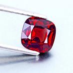 1 pcs Rood Spinel - 1.72 ct - Lotus Gemology -, Nieuw