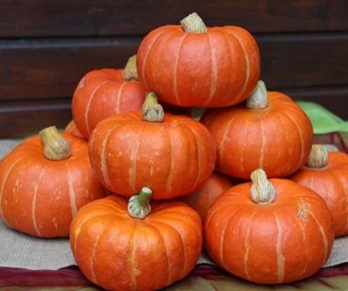Marmito F1 Kabocha Buttercup kleinverpakking, Hobby en Vrije tijd, Knutselen, Nieuw, Ophalen of Verzenden