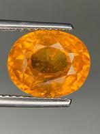 1 pcs Oranje Spessartiet - 4.81 ct - nternational Colored, Nieuw