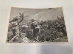 Wiktor Ostrowski (1905-1992) - WWII: Battle of Monte Cassino, Antiek en Kunst
