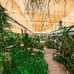 Balkon Privacy Scherm Beige 1,4 x10m (Buitenleven artikelen), Caravans en Kamperen, Kampeeraccessoires, Verzenden, Nieuw