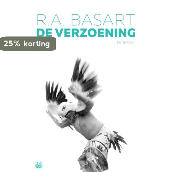 De verzoening 9789048831944 R.A. Basart, Boeken, Romans, Gelezen, Verzenden