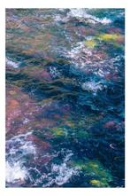 Jaime Oriz - Acqua gialla