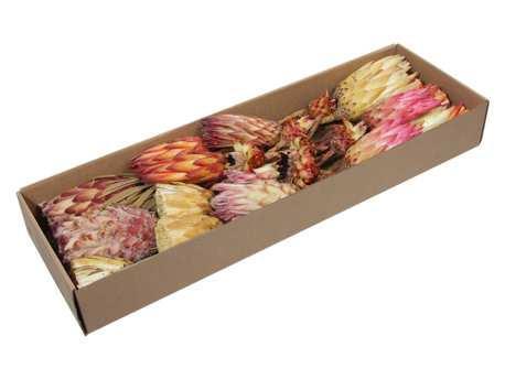 Protea de luxe assortiment naturel doos 26 stuks -, Huis en Inrichting, Woonaccessoires | Kunstplanten en Kunstbloemen, Nieuw