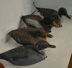 MVR - Lokeend - Anatra da richiamo (4) - polyethyleen, Antiek en Kunst