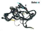 Kabelboom Triumph Tiger 955 2005-2006 VIN >198875 (T709EN), Verzenden, Gebruikt