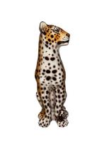 Beeld, Leopardo - 90cm - 90 cm - Keramiek
