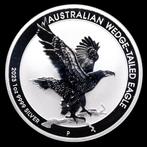 Australië. 1 Dollar 2023 Australian Wedge-Tailed Eagle, 1 Oz