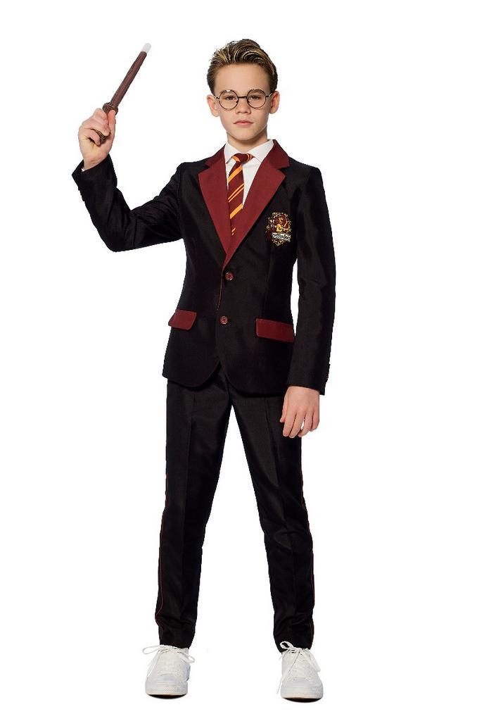 Gryffindor Verkleedkostuum Harry Potter Kind, Kleding | Heren, Carnavalskleding en Feestkleding, Nieuw, Ophalen of Verzenden