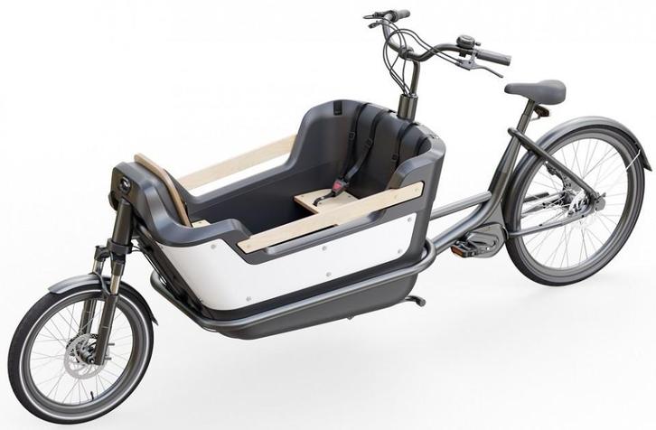 elektrische bakfiets ROYAL CARGO BIKE twee en driewieler AMS, Fietsen en Brommers, Fietsen | Bakfietsen, 4 kinderen of meer, Elektrisch