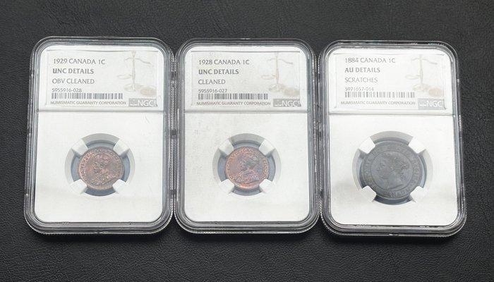 Canada. Lot of 3 NGC graded / slabbed coins: 1 Cent 1884,, Postzegels en Munten, Munten | Europa | Niet-Euromunten