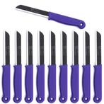 Solingen Kartelmes – Tomatenmes met Kartel – RVS – 18,, Ophalen of Verzenden, Nieuw, Rvs of Chroom, Bestekset