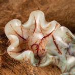 Jadeite Pale-Celadon - Serpentine Group Een fantastische, Antiek en Kunst