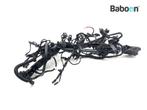 Kabelboom BMW R 1200 R 2015 -> (R1200R LC K53), Motoren, Onderdelen | BMW, Verzenden, Gebruikt