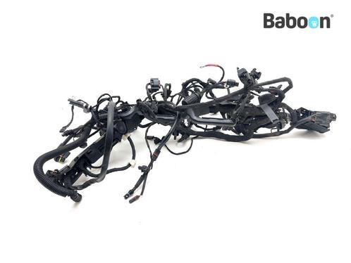 Kabelboom BMW R 1200 R 2015 -> (R1200R LC K53), Motoren, Onderdelen | BMW, Gebruikt, Verzenden