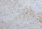 Ivory White Natuursteen aanrechtblad, Nieuw